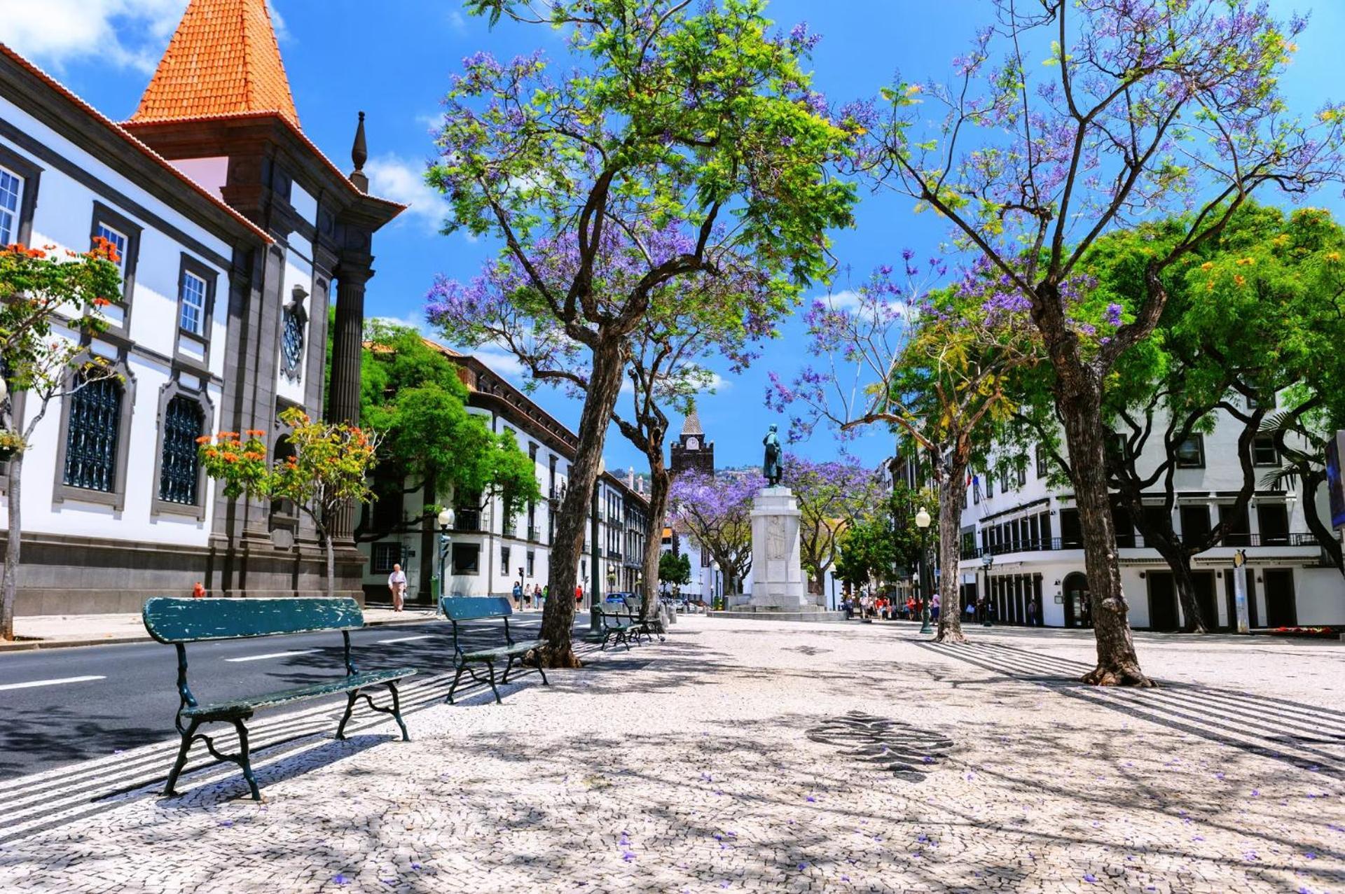 Stylish Apartment With Balcony And Amazing Views Over Funchal And The Sea Exterior foto